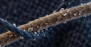 Microscopic Contamination: Pet Hair Latching onto Fabric Alt Text: A detailed 3D macro rendering of a single strand of pet hair hooked onto fabric fibers. Tiny dander and dust particles are visible clinging to the hair, illustrating how allergens stick to textiles.